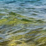 waves