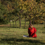 Young woman in the park Young woman in the park