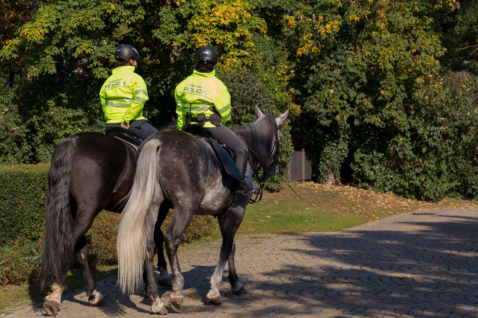 Policemen on horseback | \ubb34\ub8cc \uc7ac\uace0 \uc0ac\uc9c4 | \ub9ac\ube0c\ub808 \uc0f7