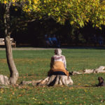 Old Woman With Dog Sitting in the Park old woman with dog sitting in the park