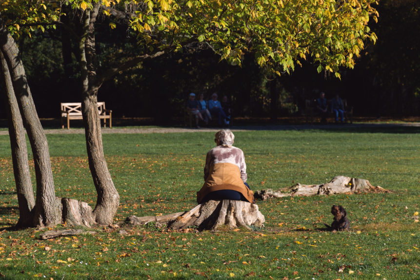 old woman with dog sitting in the park