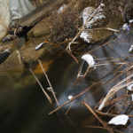 Garbage in the water Garbage in the water