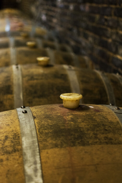 Oak Wine Barrels