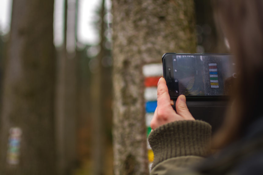 A young woman in the forest is photographing a tourist sign painted on the tree by a mobile phone.