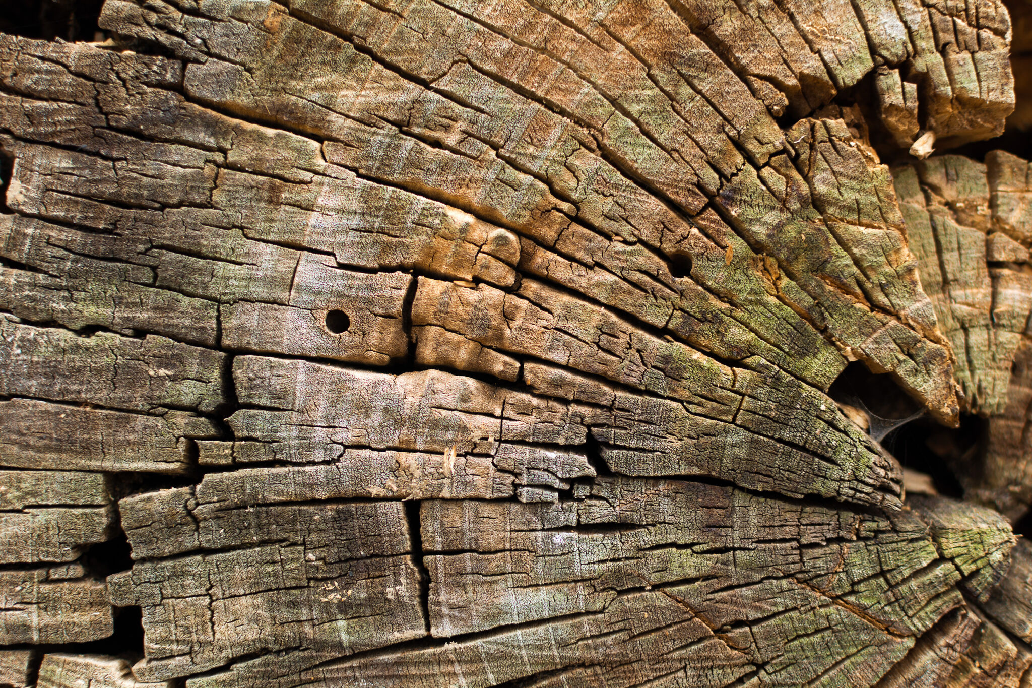 old-wood-texture-2048x1365.jpg