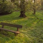 Bench in the park Bench in the park