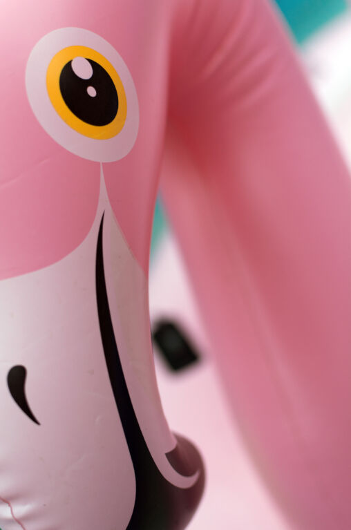 Opblaas Flamingo