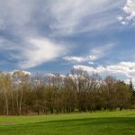 Spring Landscape Spring Landscape