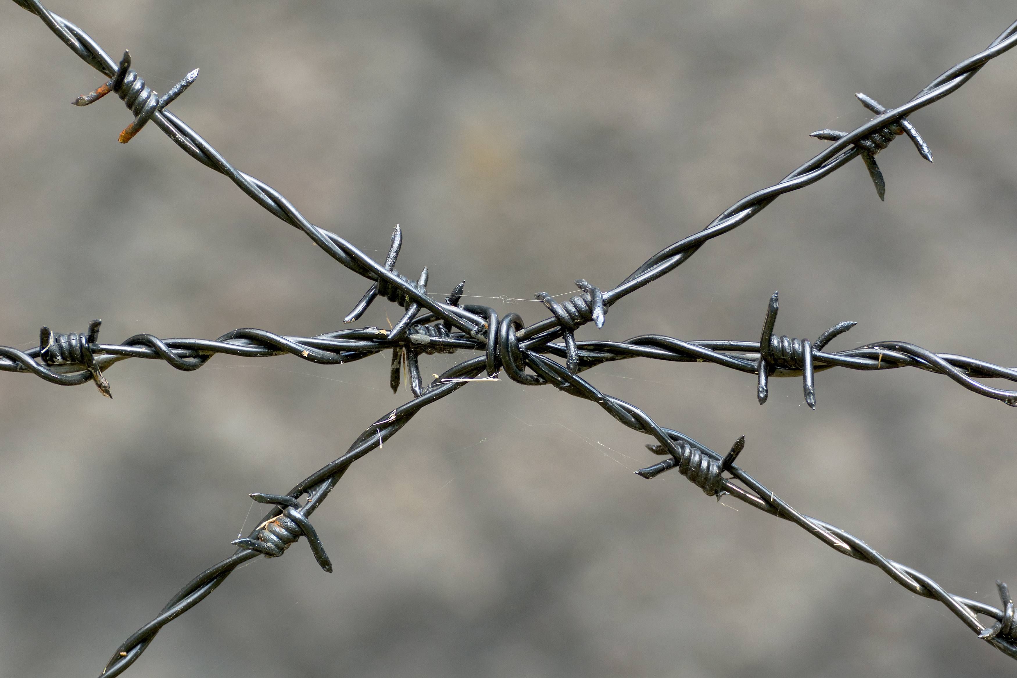 barbed wire