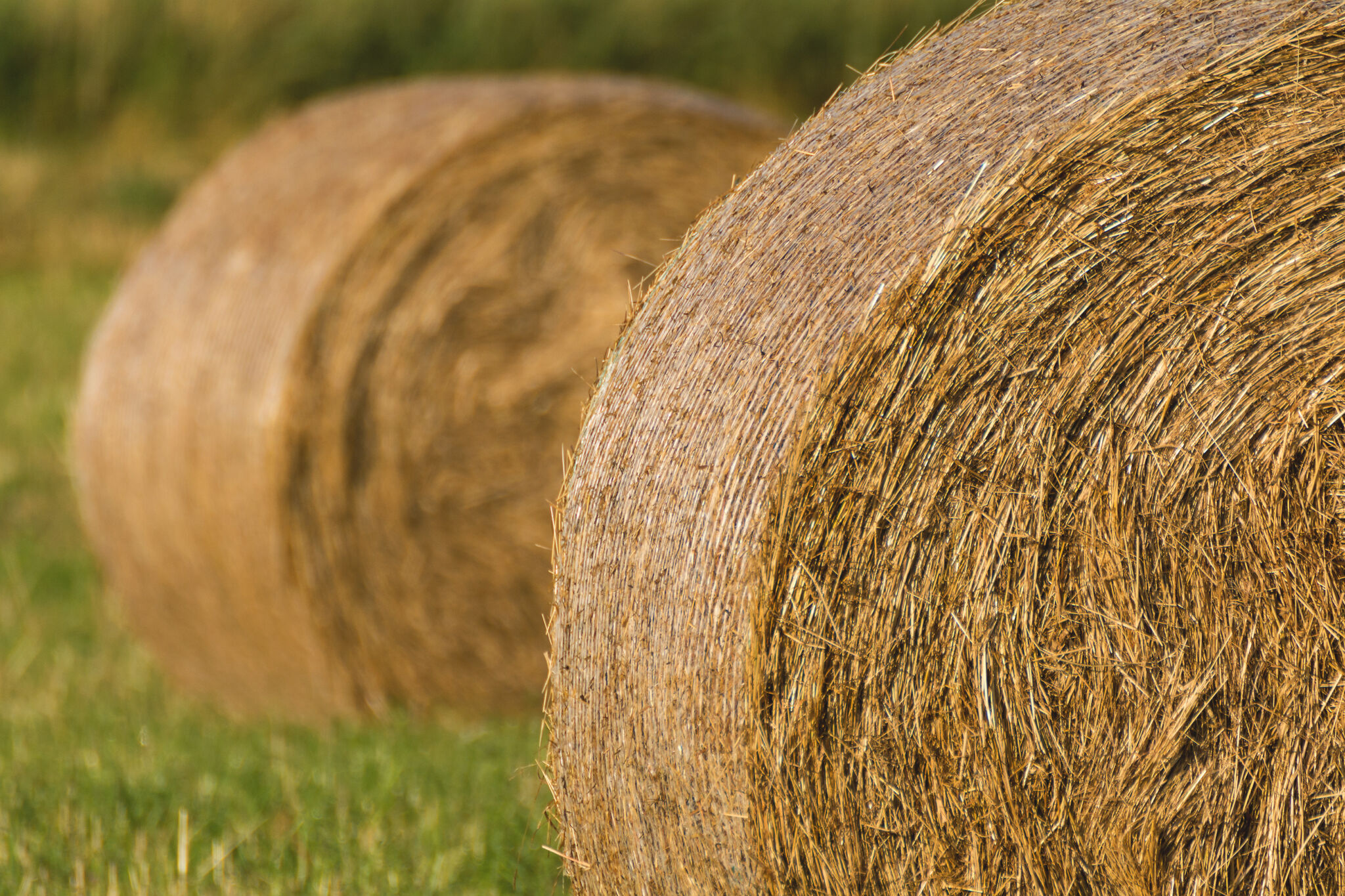 Round Hay Bales | Copyright-free photo (by M. Vorel) | LibreShot