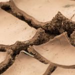 Dry land close up