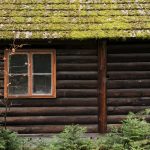 Forest log cabin detail