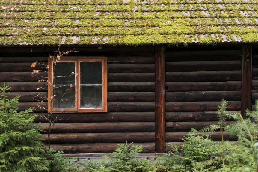 Forest log cabin detail
