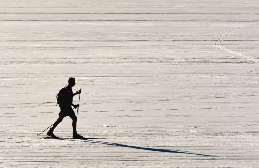 Cross Country Skier – Siluét