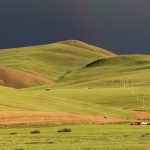 Green steppe in Mongolia