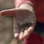 Lichen on children hand