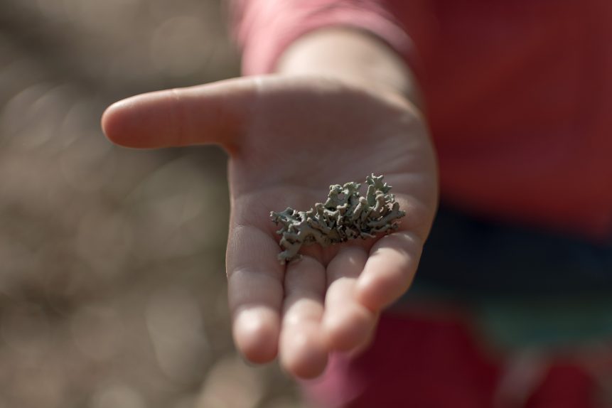 Lichen on children hand