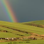 Rainbow in mongolian steppe Rainbow in mongolian steppe