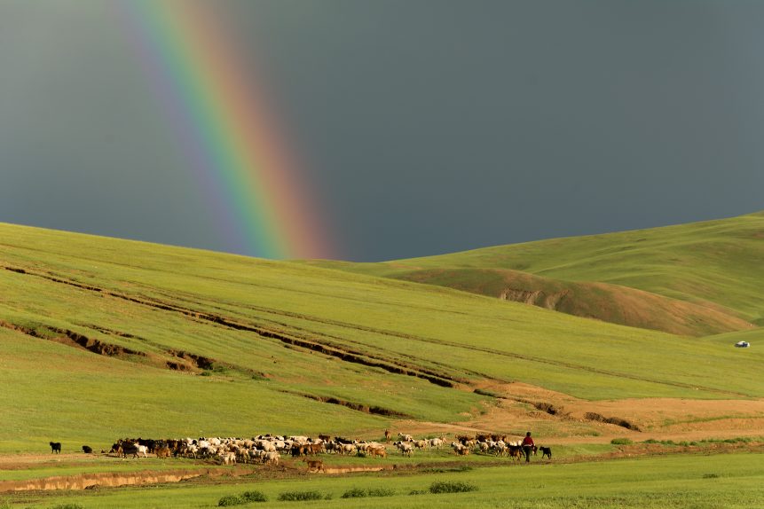Rainbow in mongolian steppe