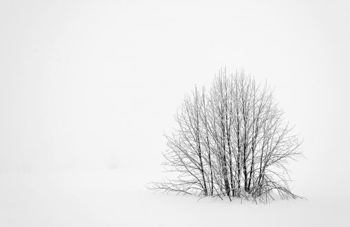 Winter Minimalism | Copyright-free photo (by M. Vorel) | LibreShot