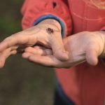 Firebug on Children Hand