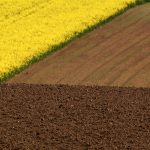 Minimalist Colorful Field Photo Minimalist Colorful Field Photo