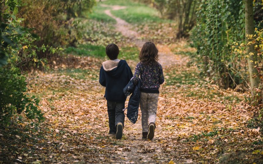 Children Walking Away on the Forest Path | Free Stock ...