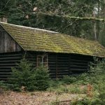 Magical Abandoned Cabin in Woods Magical abandoned cabin in woods