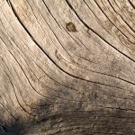 Wood Texture Lines Wood Texture Lines