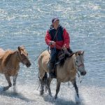 Riding Horses in the River Riding horses in the river