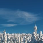 Beautiful Winter Forest Landscape