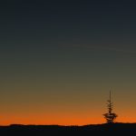 Tree in Evening Sky Landscape Clear evening sky landscape