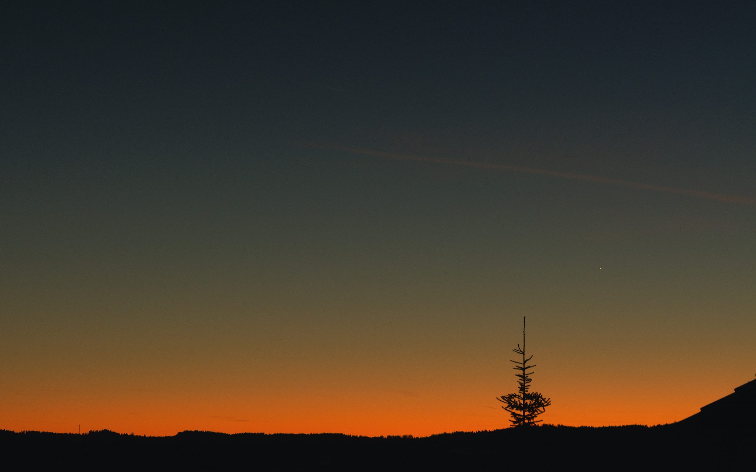 夕方の空の風景の木 Libreshot