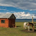 Horses in Taiga Horses in Taiga