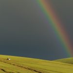 Rainbow in Mongolia
