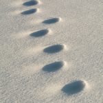 Footprints in the Snow Footprints in the snow