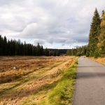 Cyclists in the nature