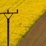 Minimalist photo of field
