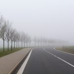 Foggy road