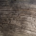 dry-wood-texture-150x150.jpg