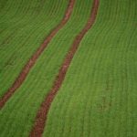 Field minimalism