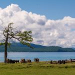 Mongolian nature - Khövsgöl lake