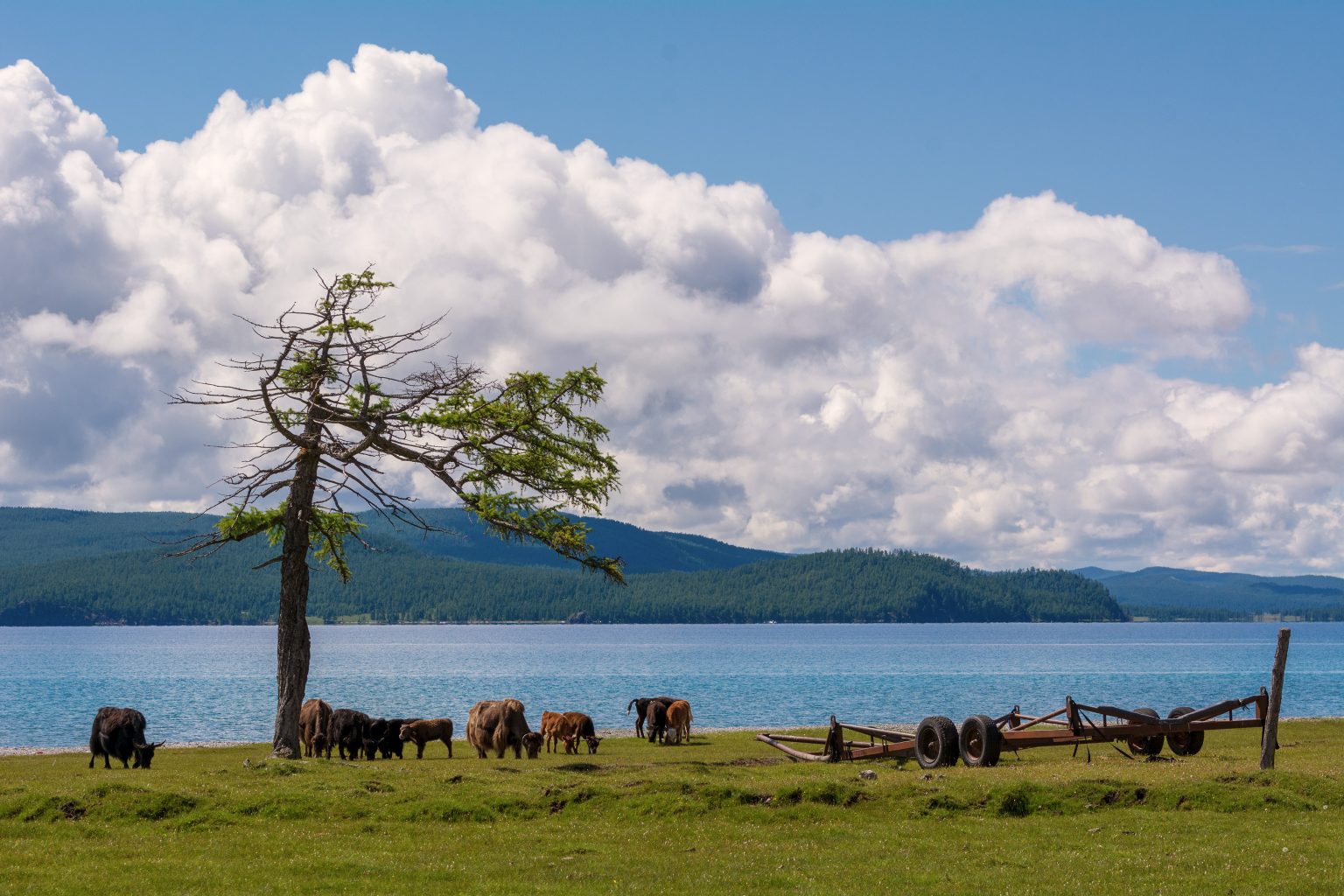 Mongolian Nature - Khövsgöl Lake | Copyright-free photo (by M. Vorel ...