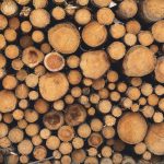 Stack of wood