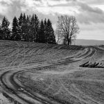 Black & White - Way in the Winter Landscape Black&White Winter Landscape