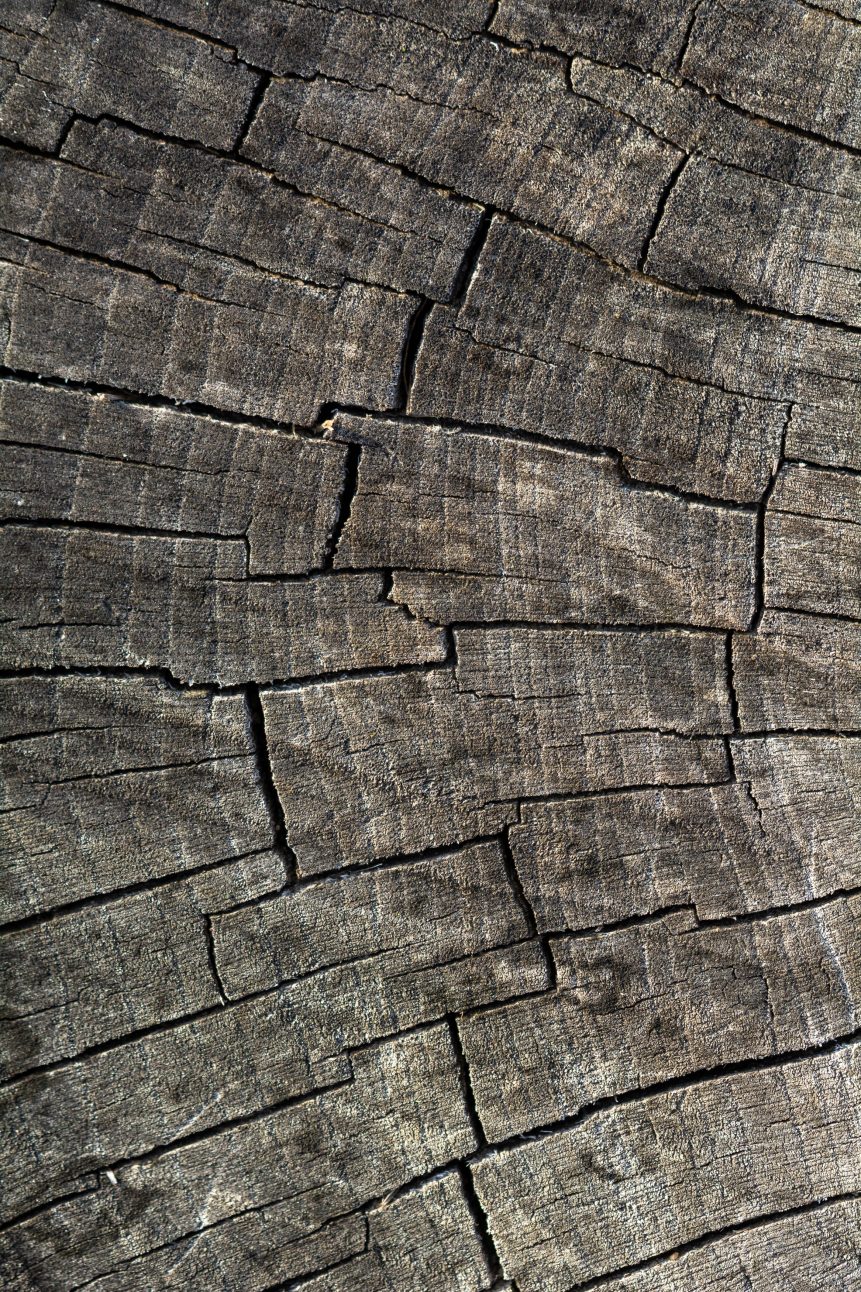 Cut wood structure