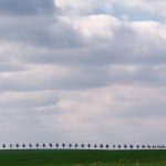Row of trees - Minimalism
