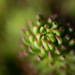 Beautiful nature wallpaper