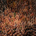 Lots of Colored Pencils Colored pencils