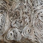 Wood texture Macro Photography